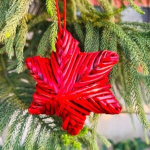 Organic, Sustainable Christmas Angelic Paper Red Star