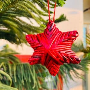 Organic, Sustainable Christmas Angelic Paper Red Star