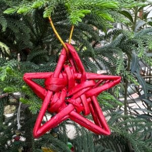 Organic, Sustainable Christmas Red Starry Delight