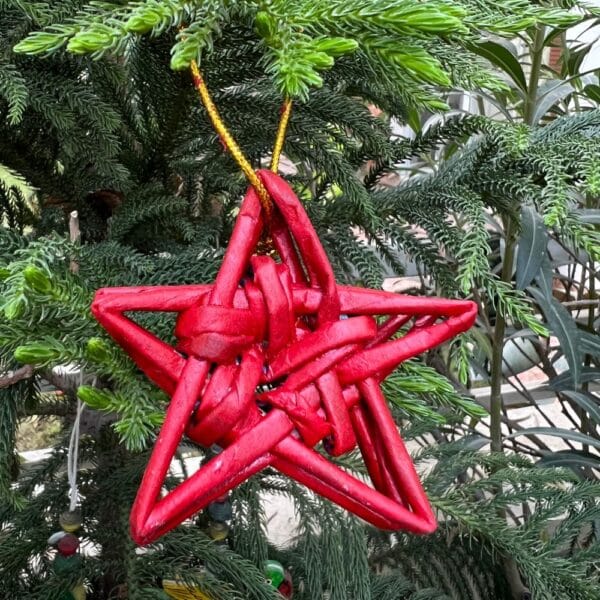 Organic, Sustainable Christmas Red Starry Delight